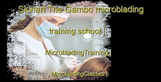 Skinart The Gambo microblading training school | MicrobladingTraining | MicrobladingClasses | SkinartTraining-Canada